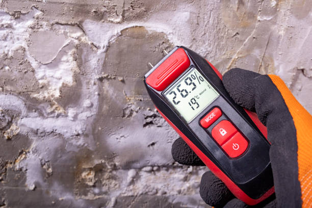 Best HVAC Mold Remediation in Jonesboro, IL